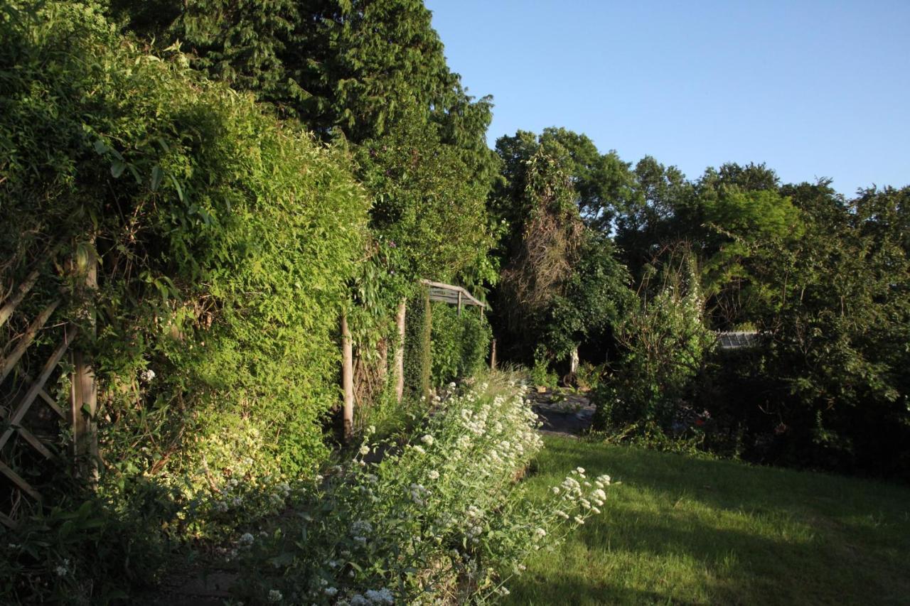 Spacious Home In Bath, Nature And City! ภายนอก รูปภาพ